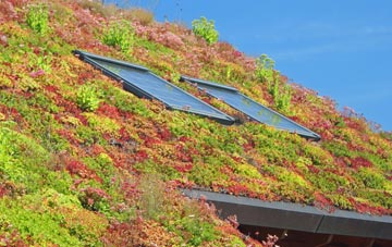 Cloughton living roof systems
